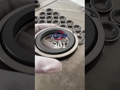 Zastąpienie Aesseal B01, Bt-Ar, Flowserve 118, Mut Fa dla Cyclan B01