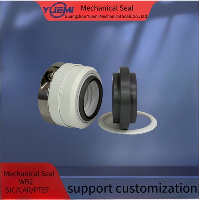 WB2 Fluoroplastyczna Stopnia Pusher Pompa wodna Pieczęć mechaniczna PTFE SSIC SSIC