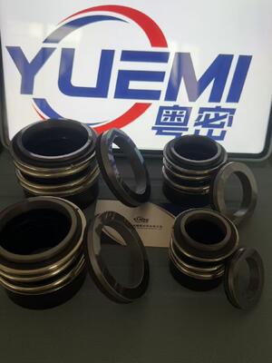 MG13/Z Pompa obiegowa odśrodkowa z uszczelnieniem mechanicznym dla gorącej wody Glf Tp/Tpd/Lp/Lm, G4 G6 G60