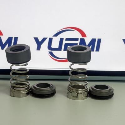 CH 2-20/30 12 mm dla pompy Grundfos Aqqe pompy Cr pieczęć mechaniczna
