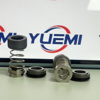 CH 2-20/30 12 mm dla pompy Grundfos Aqqe pompy Cr pieczęć mechaniczna